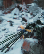 First image